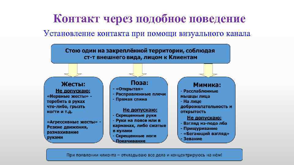 Контакт через подобное поведение Установление контакта при помощи визуального канала 