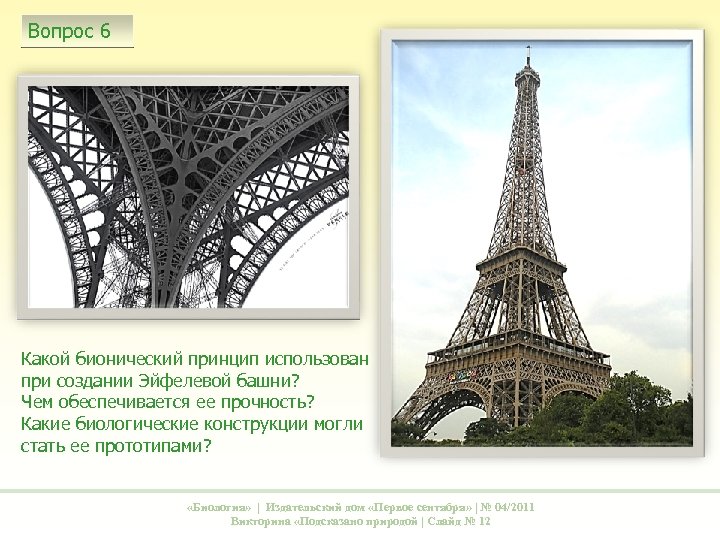 Вопрос 6 Какой бионический принцип использован при создании Эйфелевой башни? Чем обеспечивается ее прочность?