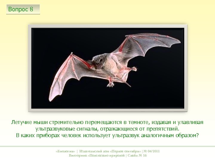 Вопрос 8 Летучие мыши стремительно перемещаются в темноте, издавая и улавливая ультразвуковые сигналы, отражающиеся
