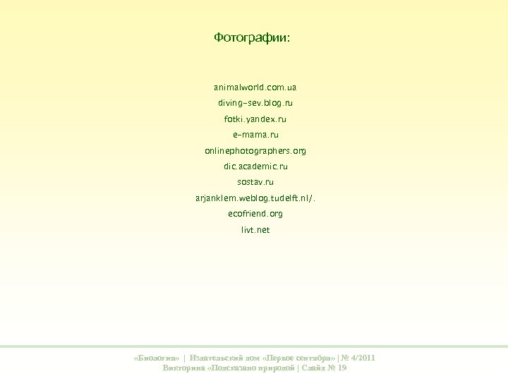 Фотографии: animalworld. com. ua diving-sev. blog. ru fotki. yandex. ru e-mama. ru onlinephotographers. org