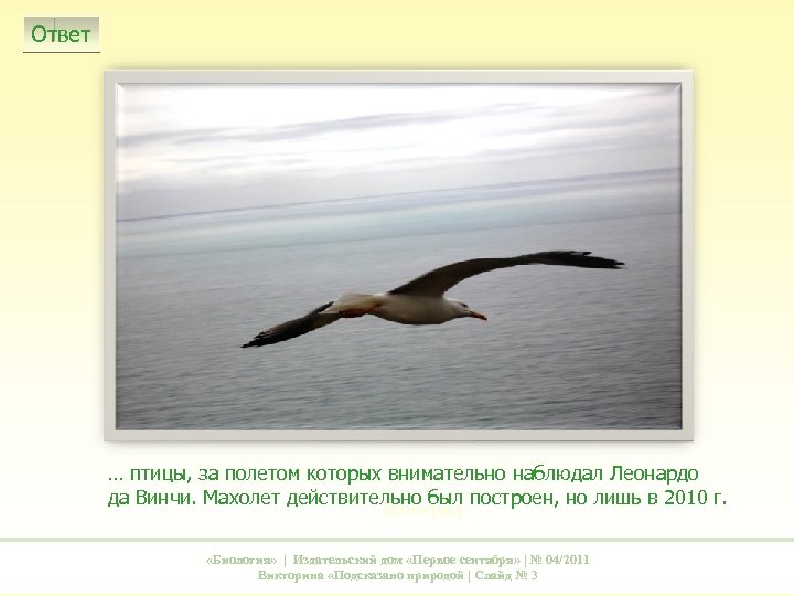 Ответ Повилика … птицы, за полетом которых внимательно наблюдал Леонардо да Винчи. Махолет действительно