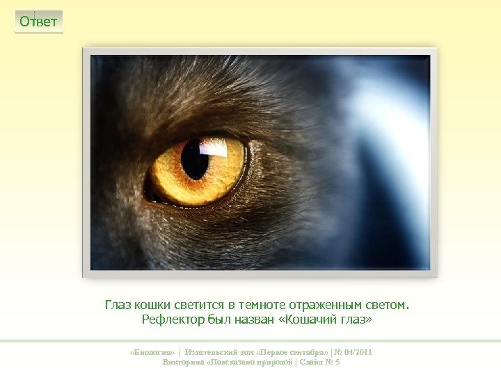 Ответ Глаз кошки светится в темноте отраженным светом. Рефлектор был назван «Кошачий глаз» «Биология»