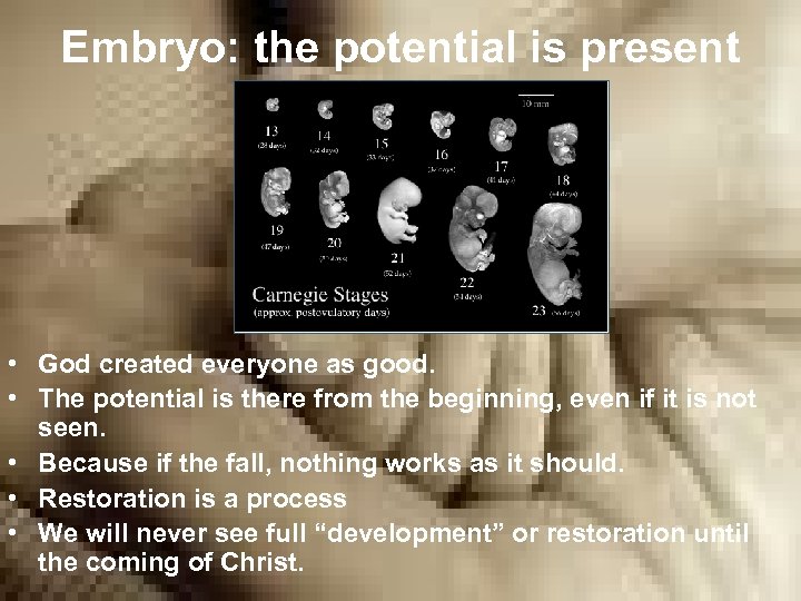 Embryo: the potential is present • God created everyone as good. • The potential