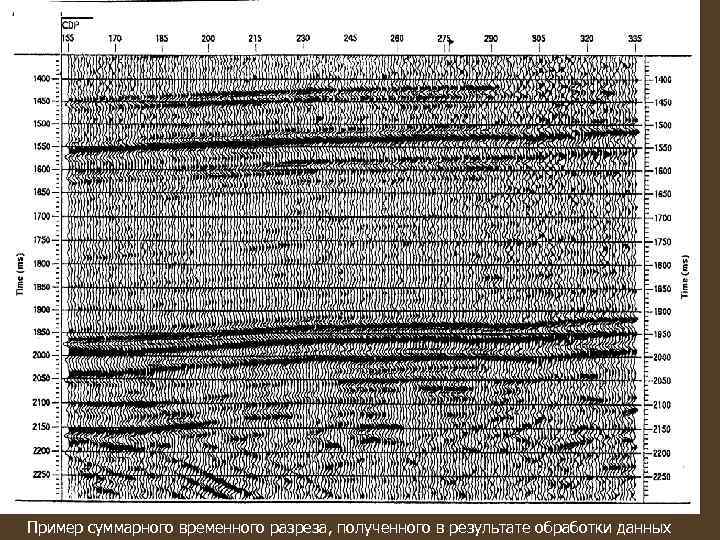Пример суммарного временного разреза, полученного в результате обработки данных 