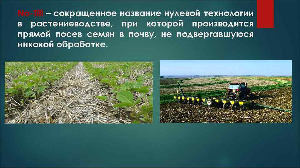 No-Till – сокращенное название нулевой технологии в растениеводстве, при которой производится прямой посев семян