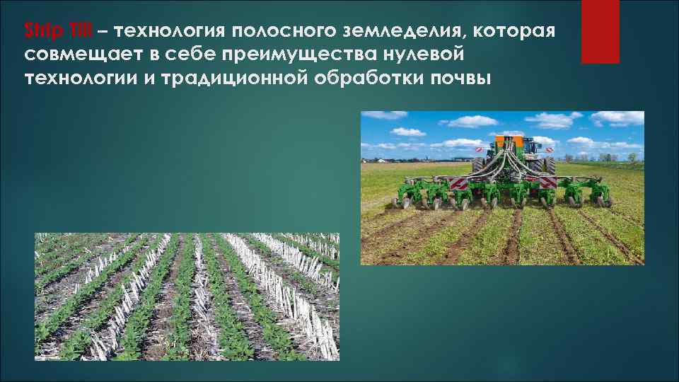 Strip Till – технология полосного земледелия, которая совмещает в себе преимущества нулевой технологии и