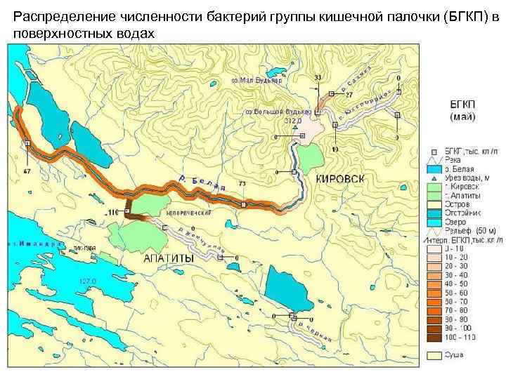 Распределение численности бактерий группы кишечной палочки (БГКП) в поверхностных водах 