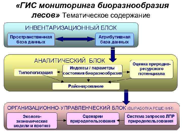  «ГИС мониторинга биоразнообразия лесов» Тематическое содержание 