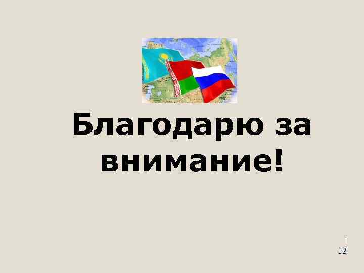 Благодарю за внимание! | 12 
