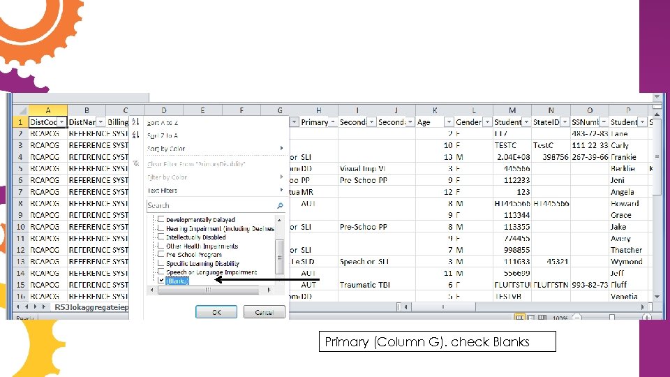 Primary (Column G). check Blanks 