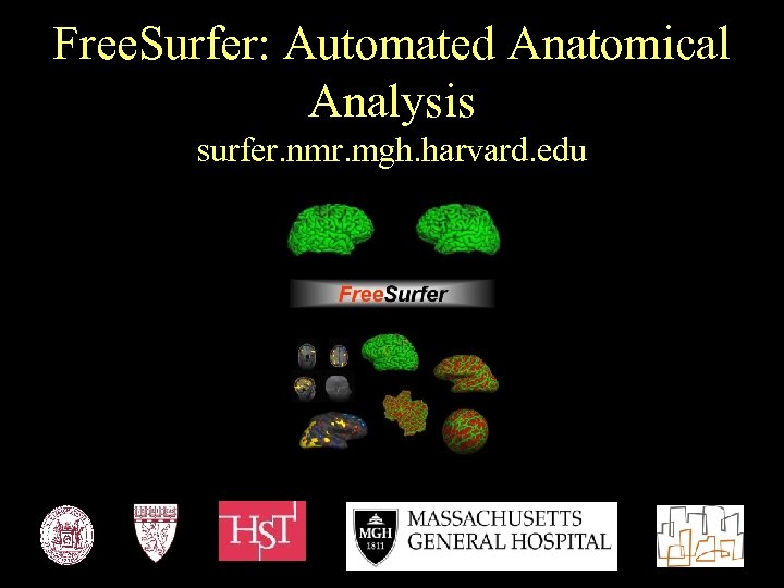 Free. Surfer: Automated Anatomical Analysis surfer. nmr. mgh. harvard. edu 