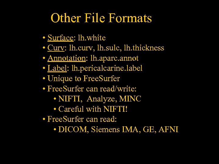 Other File Formats • Surface: lh. white • Curv: lh. curv, lh. sulc, lh.