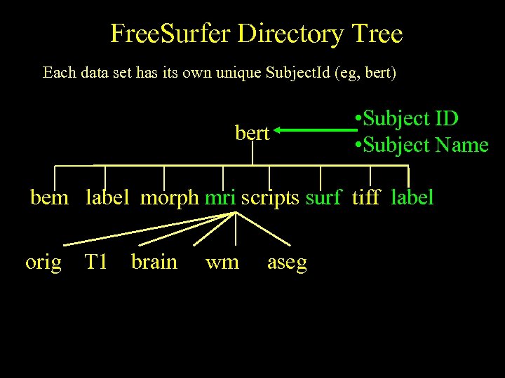 Free. Surfer Directory Tree Each data set has its own unique Subject. Id (eg,