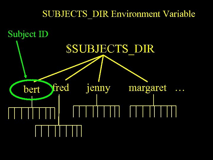 SUBJECTS_DIR Environment Variable Subject ID $SUBJECTS_DIR bert fred jenny margaret … 