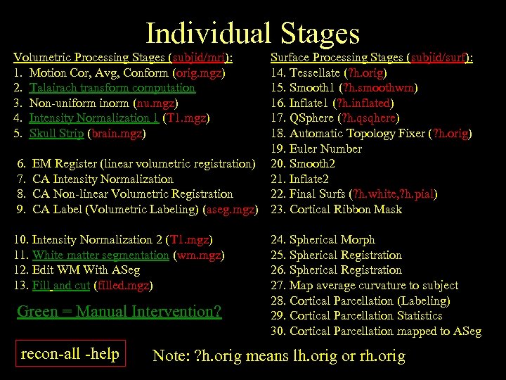 Individual Stages Volumetric Processing Stages (subjid/mri): 1. Motion Cor, Avg, Conform (orig. mgz) 2.