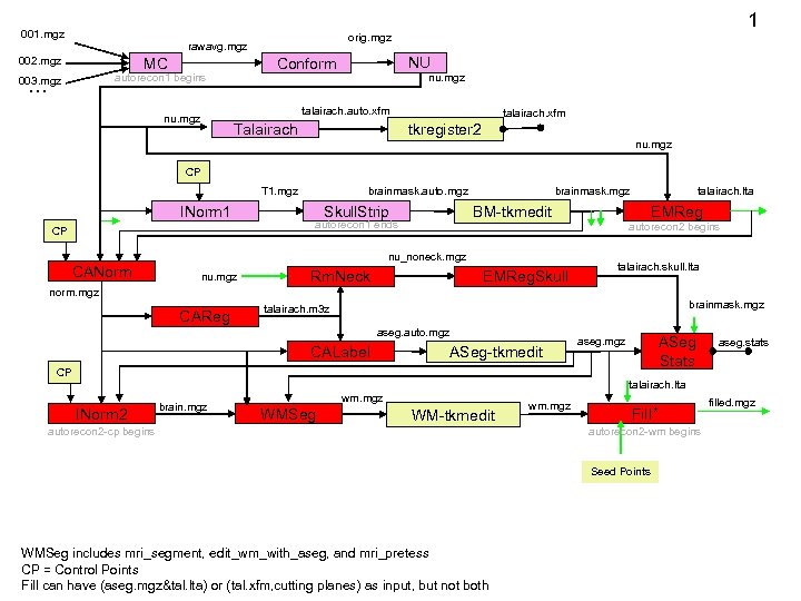 1 001. mgz orig. mgz rawavg. mgz 002. mgz MC … NU Conform autorecon