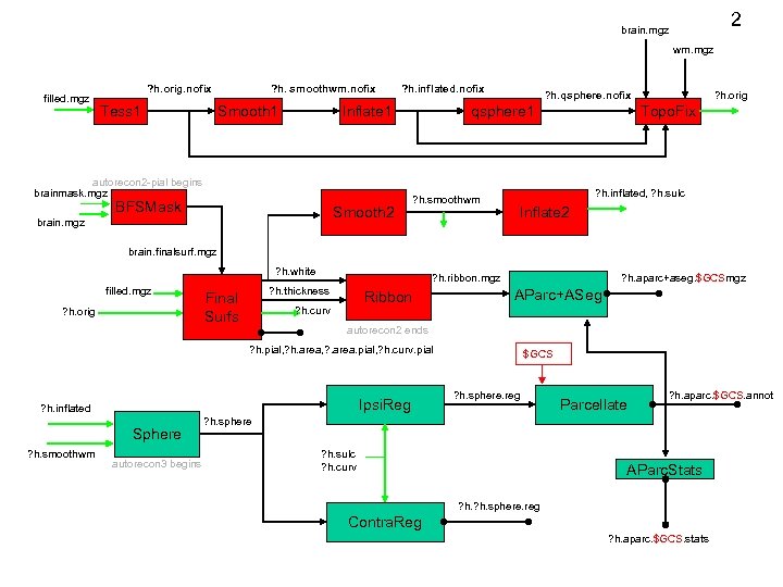 2 brain. mgz wm. mgz filled. mgz ? h. orig. nofix Tess 1 ?