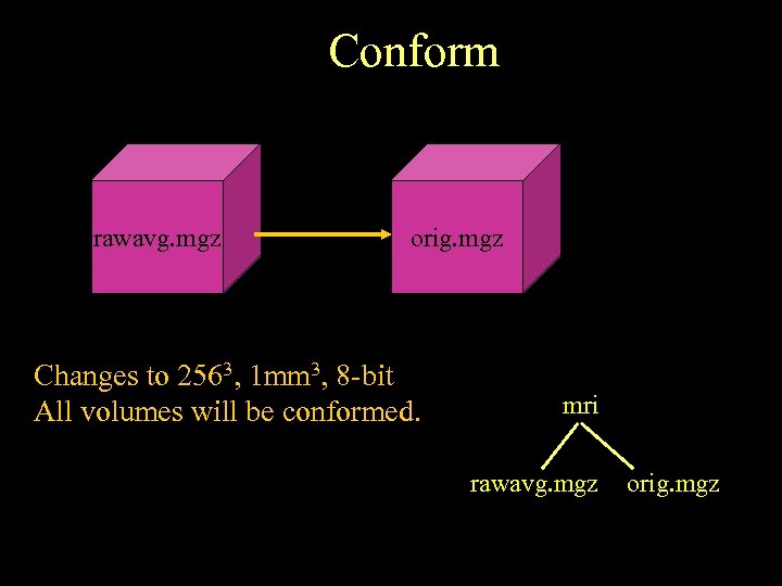 Conform rawavg. mgz orig. mgz Changes to 2563, 1 mm 3, 8 -bit All