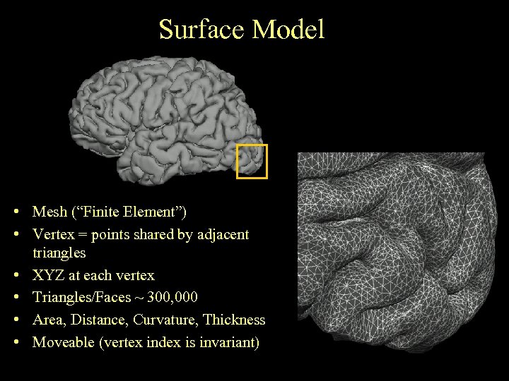 Surface Model • Mesh (“Finite Element”) • Vertex = points shared by adjacent triangles