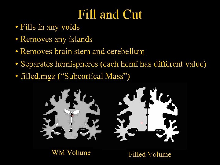 Fill and Cut • Fills in any voids • Removes any islands • Removes