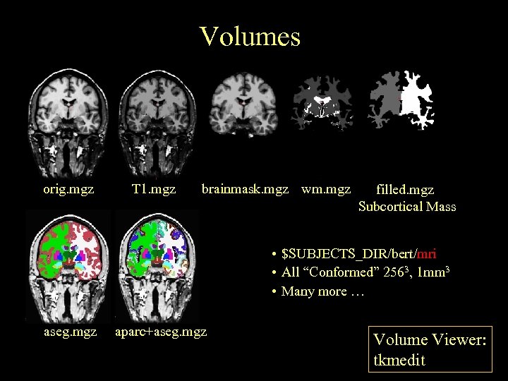 Volumes orig. mgz T 1. mgz brainmask. mgz wm. mgz filled. mgz Subcortical Mass
