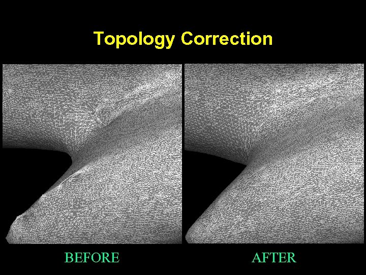 Topology Correction BEFORE AFTER 