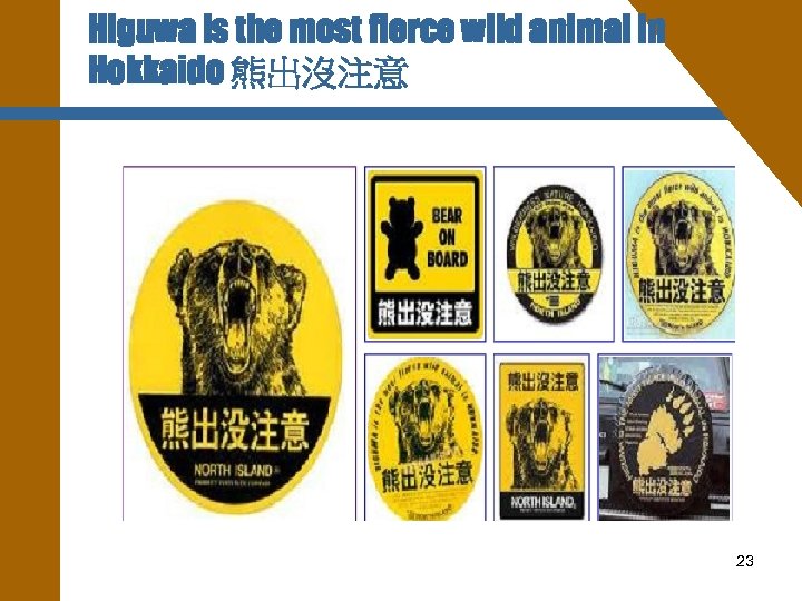 Higuwa is the most fierce wild animal in Hokkaido 熊出沒注意 23 