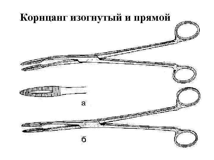 Корнцанг изогнутый фото