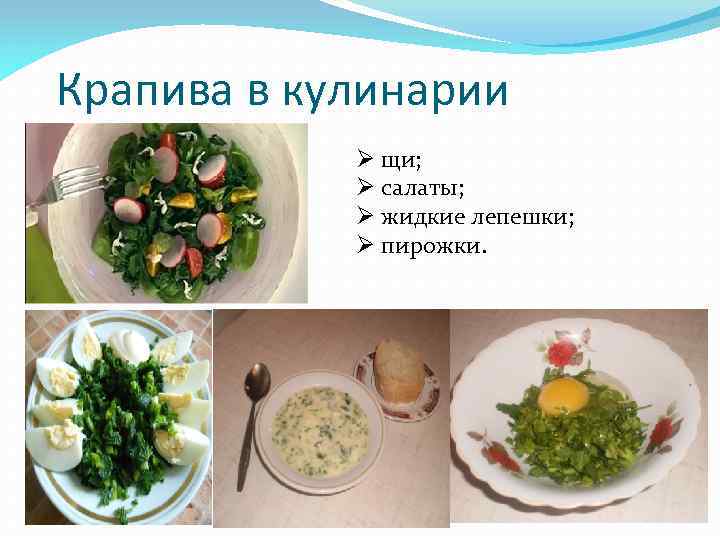 Крапива в кулинарии Ø щи; Ø салаты; Ø жидкие лепешки; Ø пирожки. 