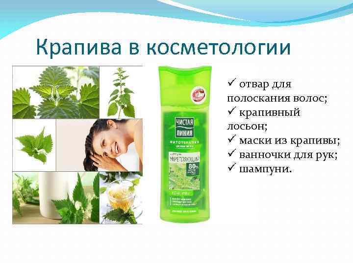 Крапива в косметологии ü отвар для полоскания волос; ü крапивный лосьон; ü маски из