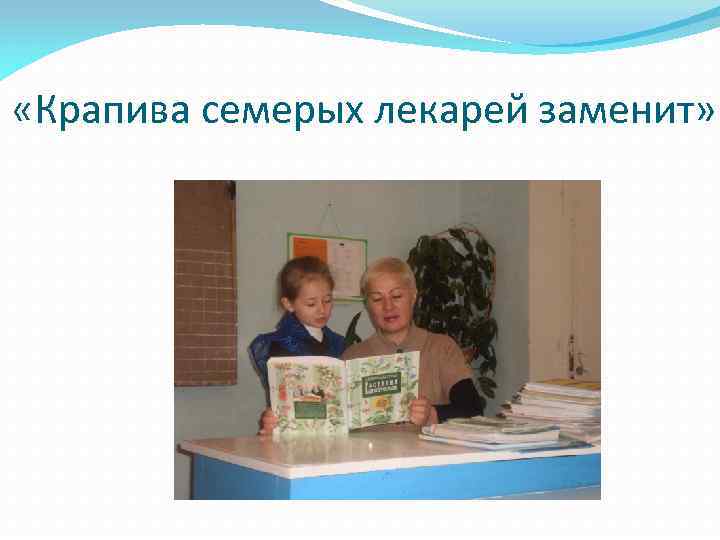  «Крапива семерых лекарей заменит» 