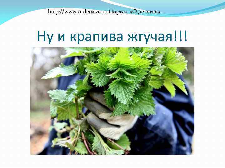 http: //www. o-detstve. ru Портал «О детстве» . Ну и крапива жгучая!!! 