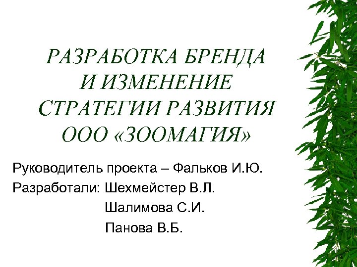 РАЗРАБОТКА БРЕНДА И ИЗМЕНЕНИЕ СТРАТЕГИИ РАЗВИТИЯ ООО «ЗООМАГИЯ» Руководитель проекта – Фальков И. Ю.