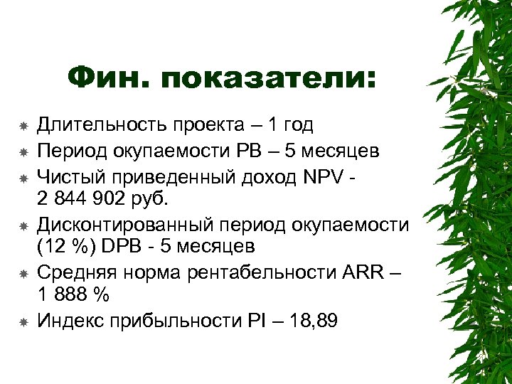 Фин. показатели: Длительность проекта – 1 год Период окупаемости РВ – 5 месяцев Чистый