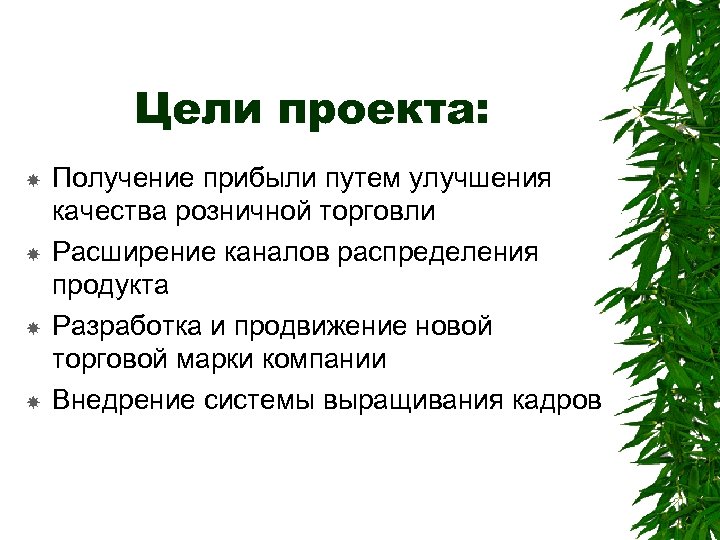 Цели проекта: Получение прибыли путем улучшения качества розничной торговли Расширение каналов распределения продукта Разработка