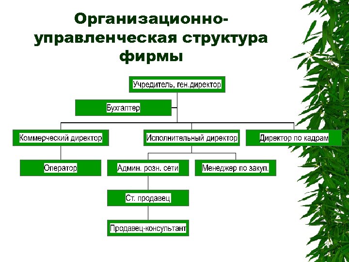 Организационноуправленческая структура фирмы 