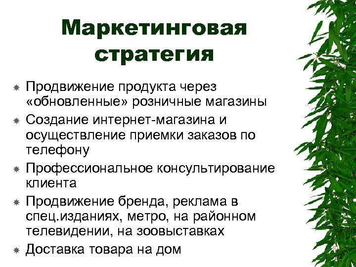 Маркетинговая стратегия Продвижение продукта через «обновленные» розничные магазины Создание интернет-магазина и осуществление приемки заказов