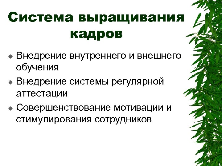 Система выращивания кадров Внедрение внутреннего и внешнего обучения Внедрение системы регулярной аттестации Совершенствование мотивации