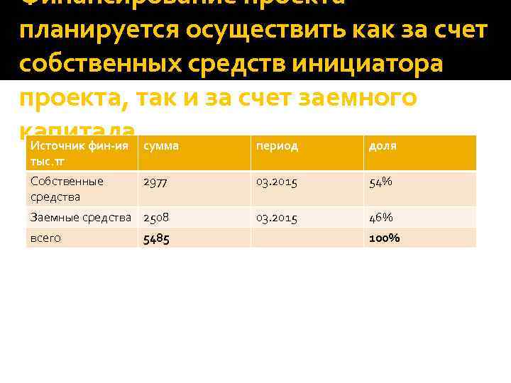 Финансирование проекта планируется осуществить как за счет собственных средств инициатора проекта, так и за