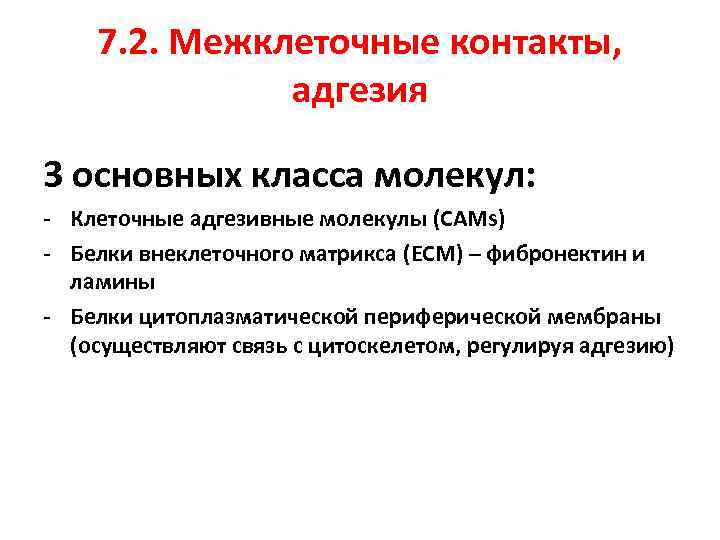 7. 2. Межклеточные контакты, адгезия 3 основных класса молекул: - Клеточные адгезивные молекулы (CAMs)