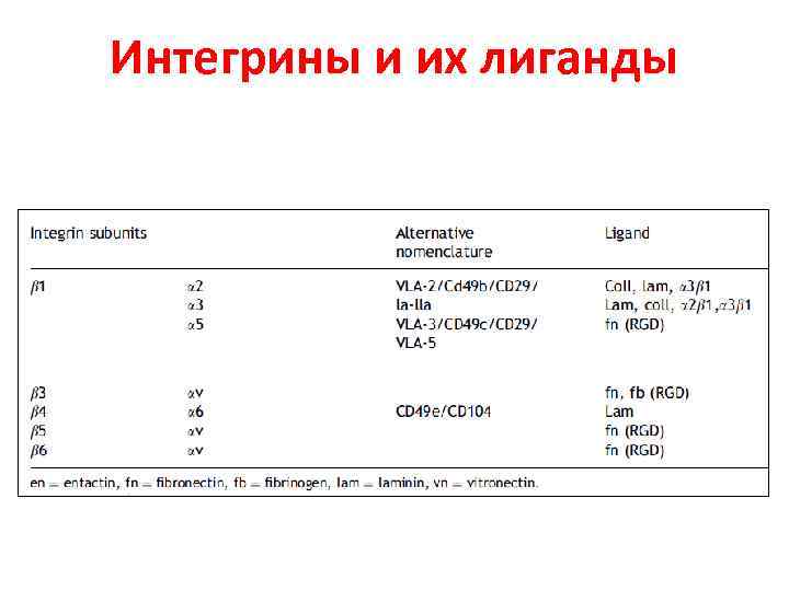 Интегрины и их лиганды 