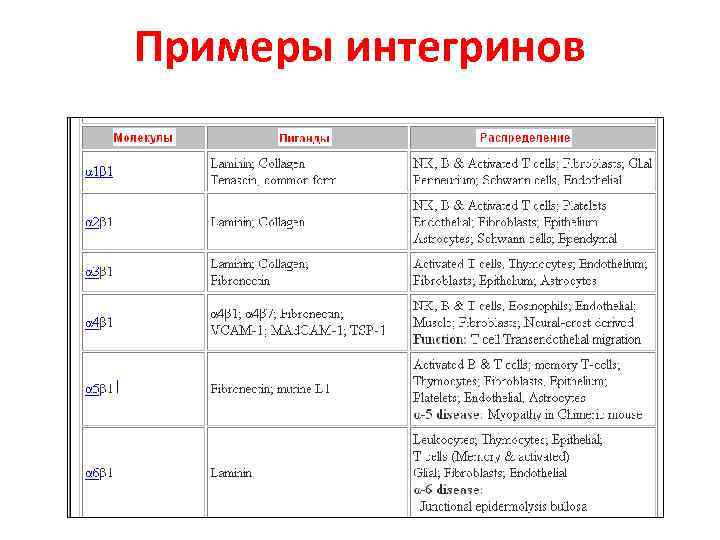 Примеры интегринов 