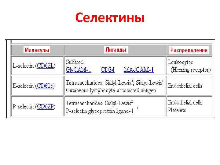 Селектины 