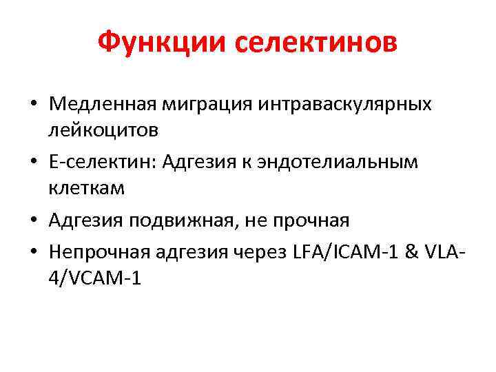 Функции селектинов • Медленная миграция интраваскулярных лейкоцитов • E-селектин: Адгезия к эндотелиальным клеткам •