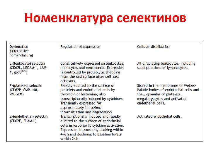 Номенклатура селектинов 