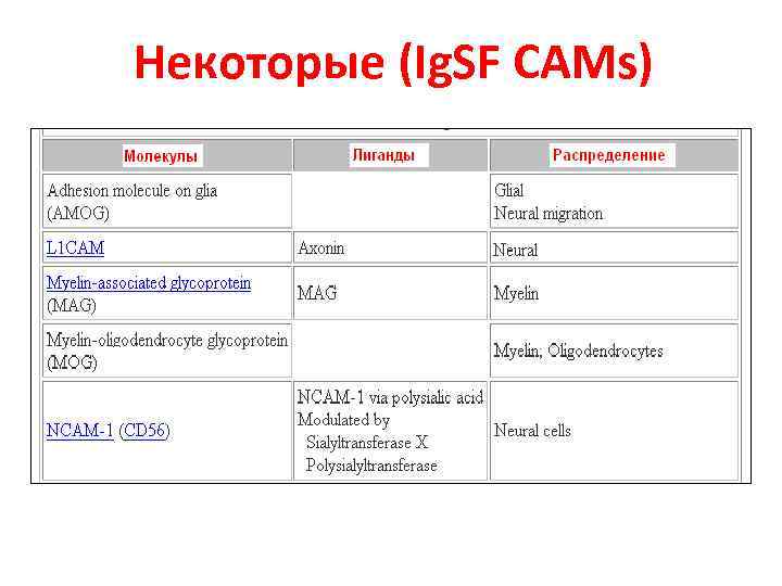 Некоторые (Ig. SF CAMs) 