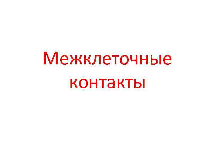 Межклеточные контакты 