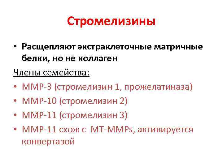 Стромелизины • Расщепляют экстраклеточные матричные белки, но не коллаген Члены семейства: • MMP-3 (стромелизин