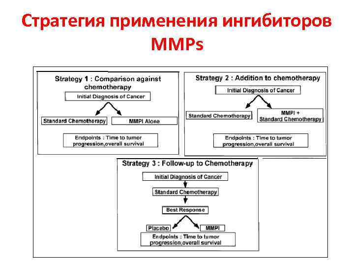 Стратегия применения ингибиторов MMPs 