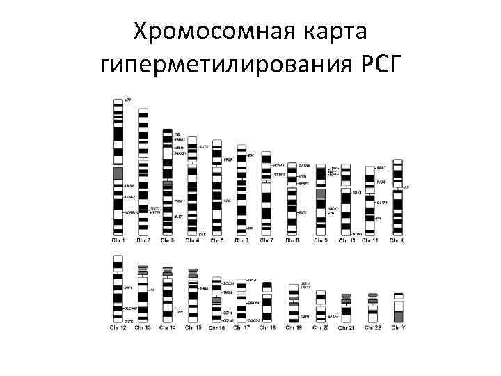 Хромосомная карта гиперметилирования РСГ 